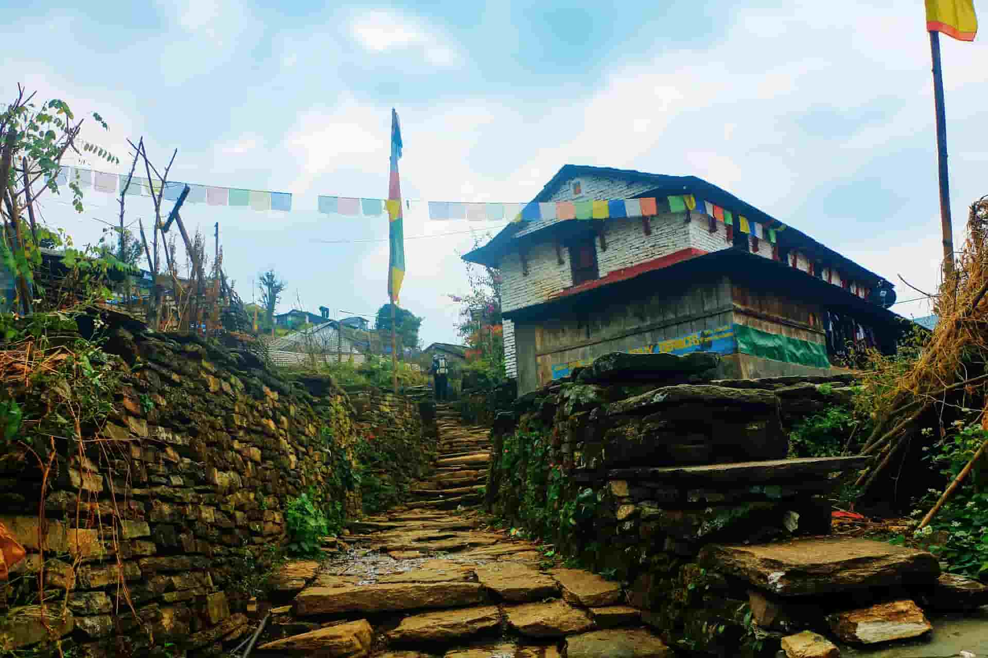 Timeless Charm: Traditional Nepali Architecture in Jhinu Danda